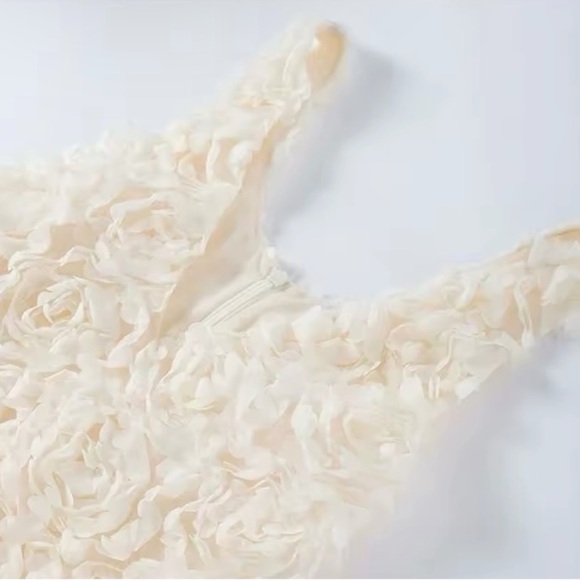 NEW💫 CASA B| “ Dreaming in Rose” 3D Floral Appliqué Ivory Plunge Neck Gown - Picture 4 of 7